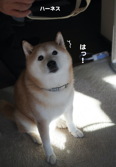 16日ブログ２