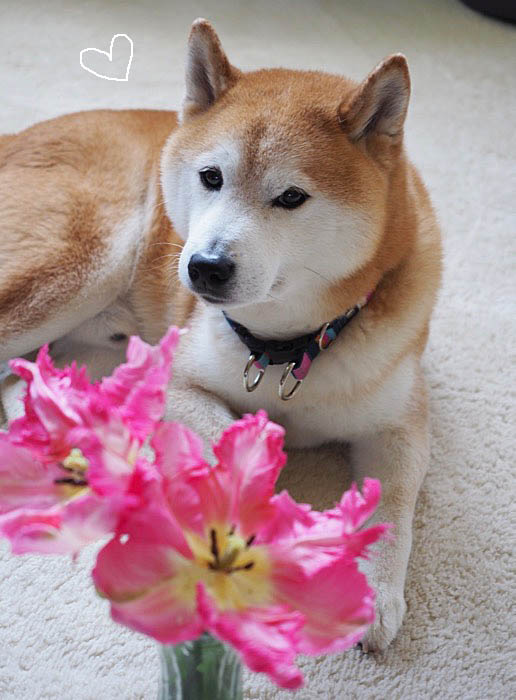 15日ブログ６