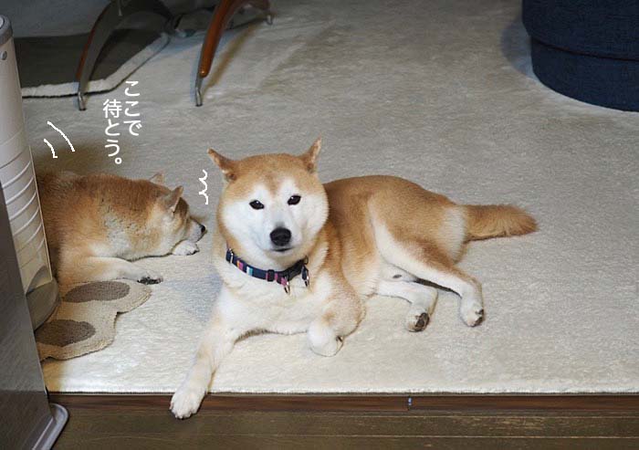 23日ブログ２