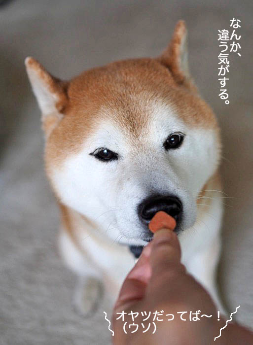 10日ブログ７