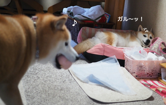 28日夜ブログ６