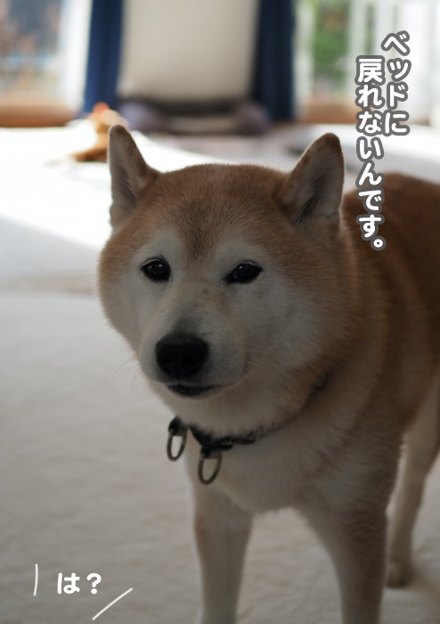 10日夕ブログ３