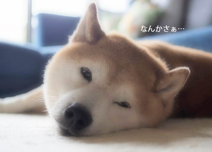 21日ブログ４