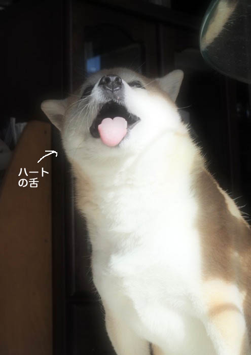 3日ブログ３