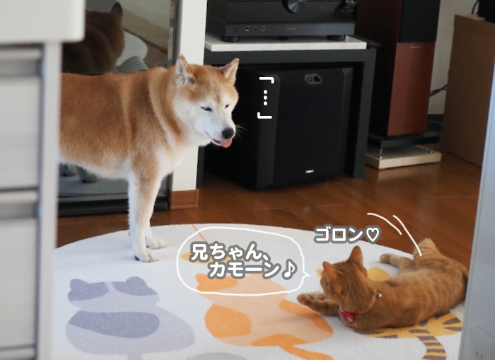 9日夕ブログ５
