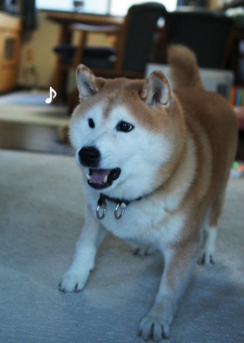 30日夕ブログ５