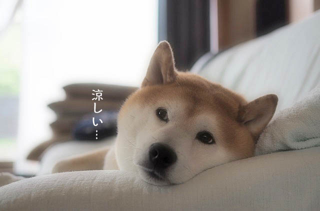 19日ブログ６
