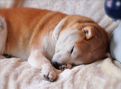 15日ブログ4.jpg