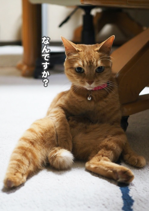 9日ブログ１
