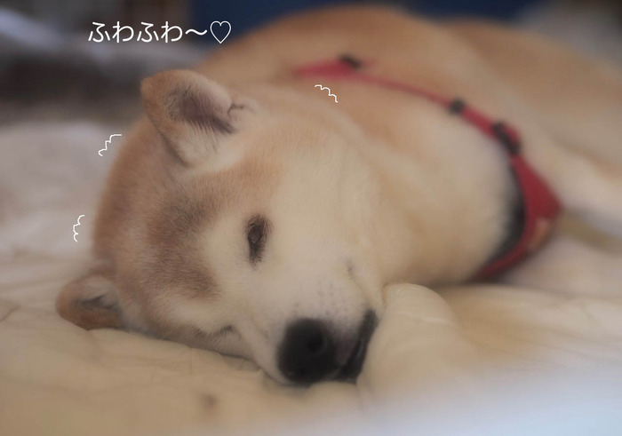28日ブログ7