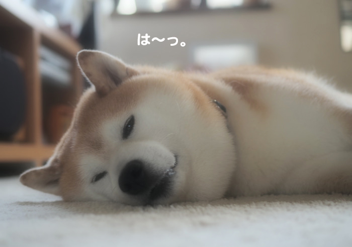 15日夕ブログ２