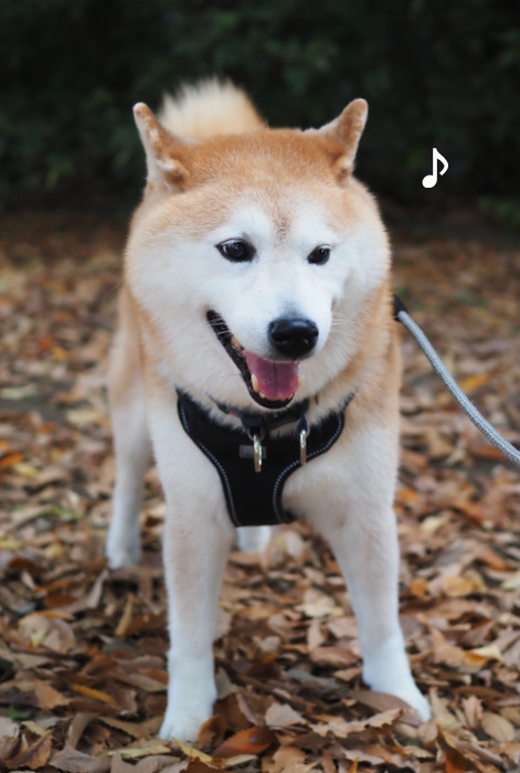 19日午前ブログ５