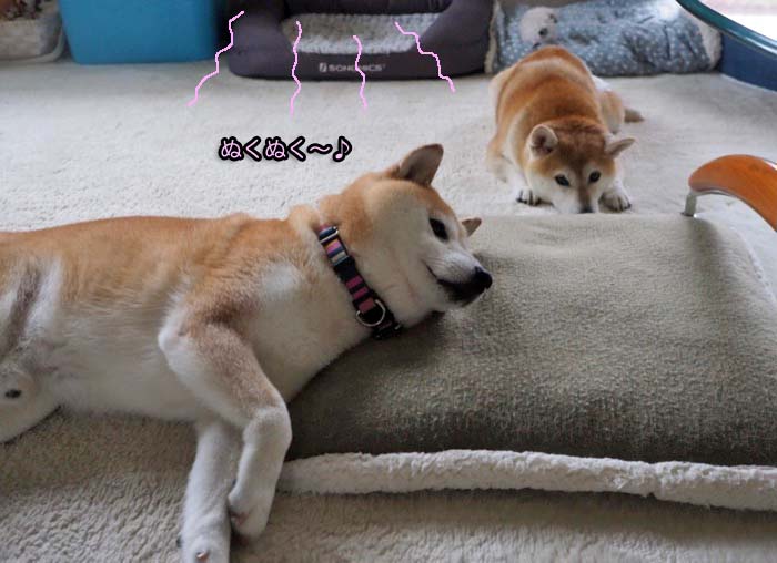 10日ブログ２