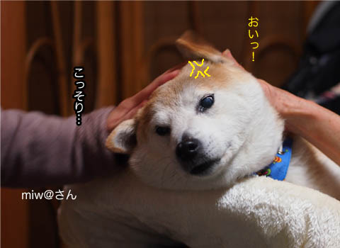 29日ブログ12.jpg