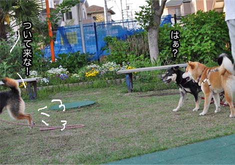 7日ブログ１３.jpg