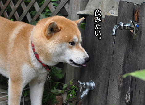 26日ブログ12.jpg