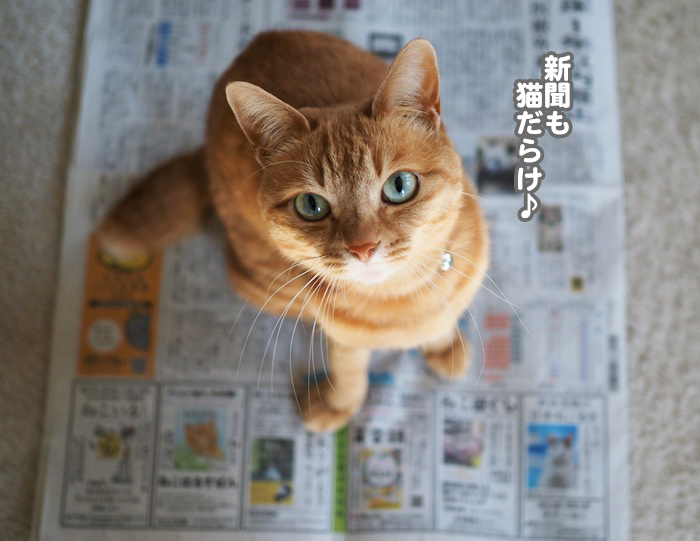 22日夕ブログ２