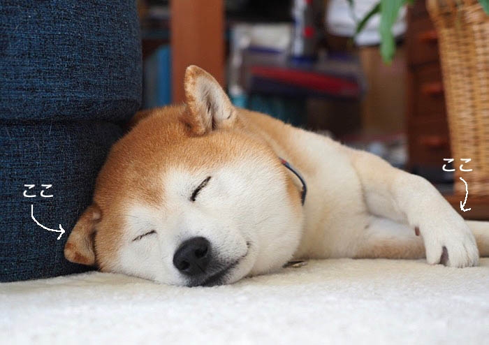 22日ブログ２