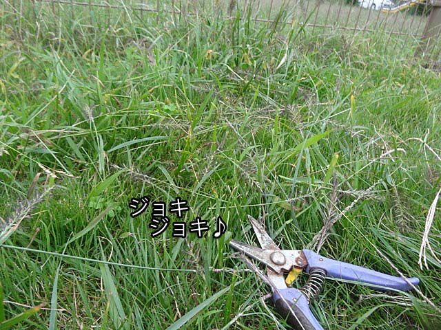 14日ブログ5