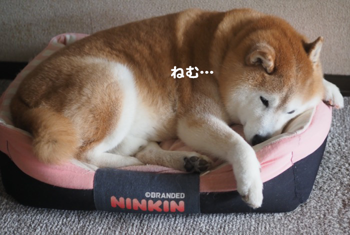 12日ブログ１