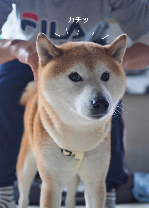 13日午後ブログ４