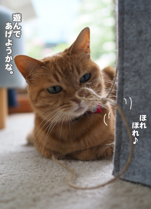 24日夕ブログ３