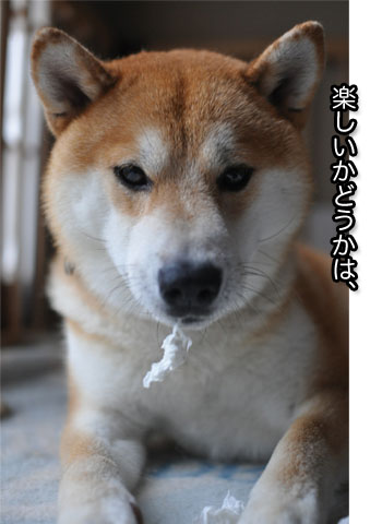 23日ブログ10.jpg