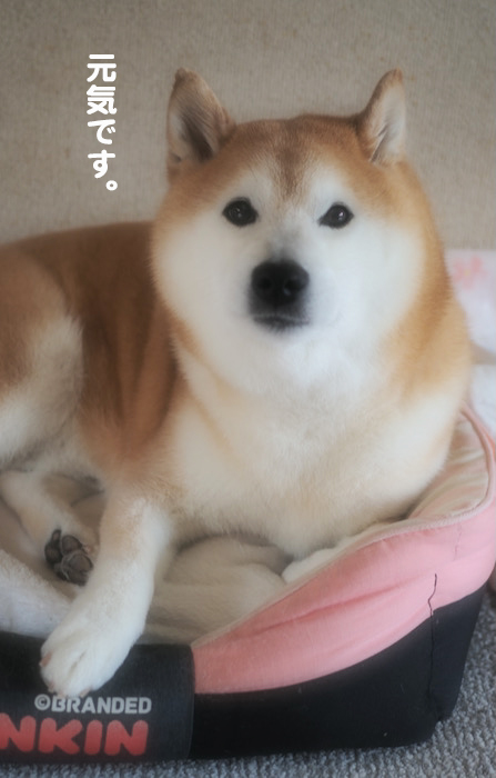 22日午前ブログ３