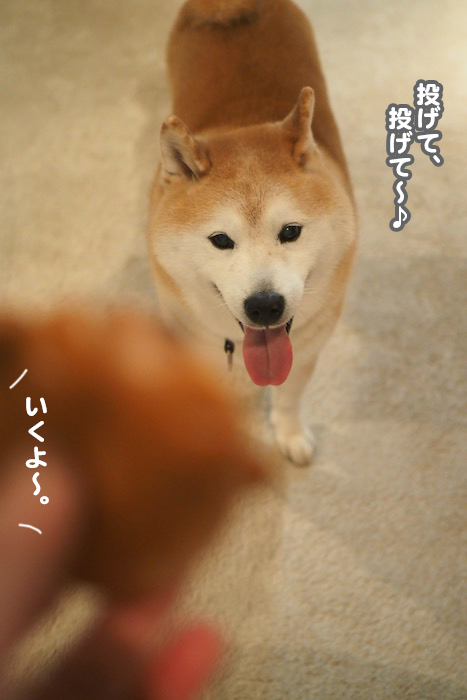 27日夕ブログ２