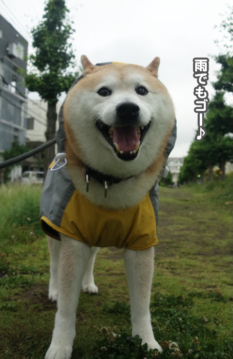 7日夜ブログ３