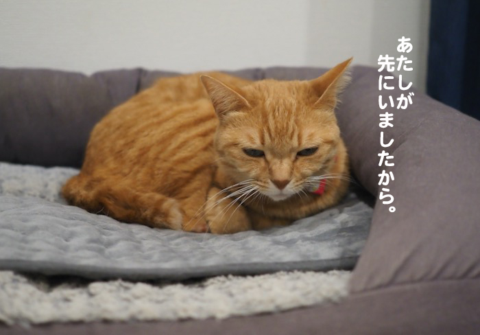 21日夕ブログ９