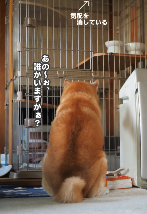 11日ブログ５