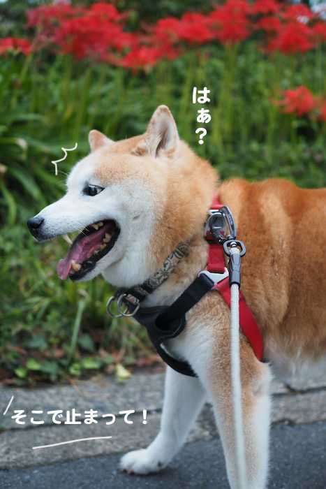28日ブログ２