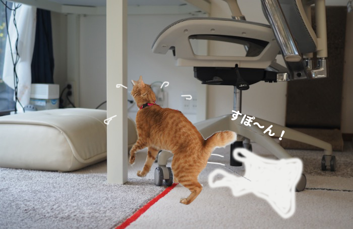 27日夕ブログ９