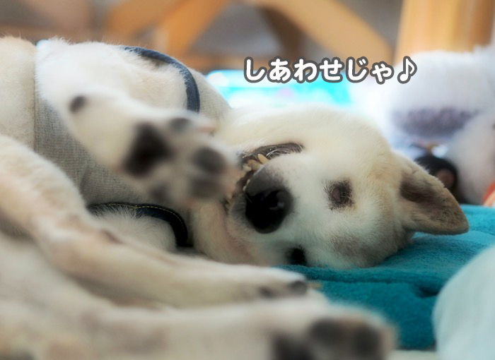 20日ブログ９