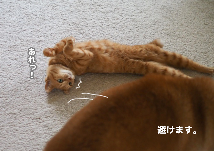 16日夕ブログ５