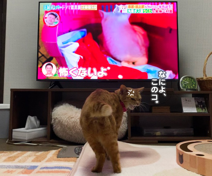 15日夕ブログ６