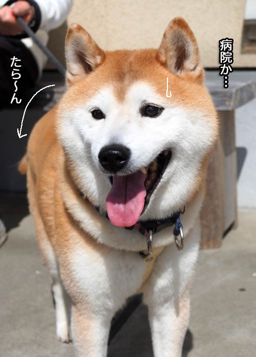 15日夜ブログ２