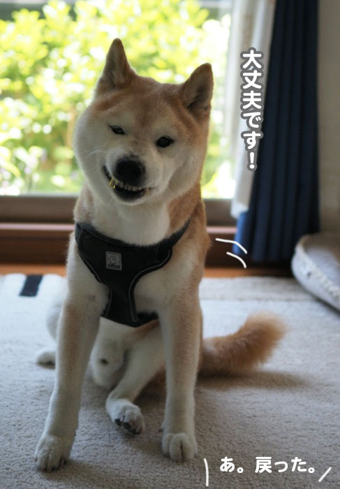 18日夕ブログ５