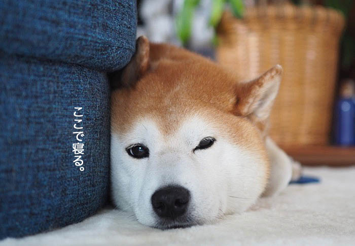 10日ブログ９