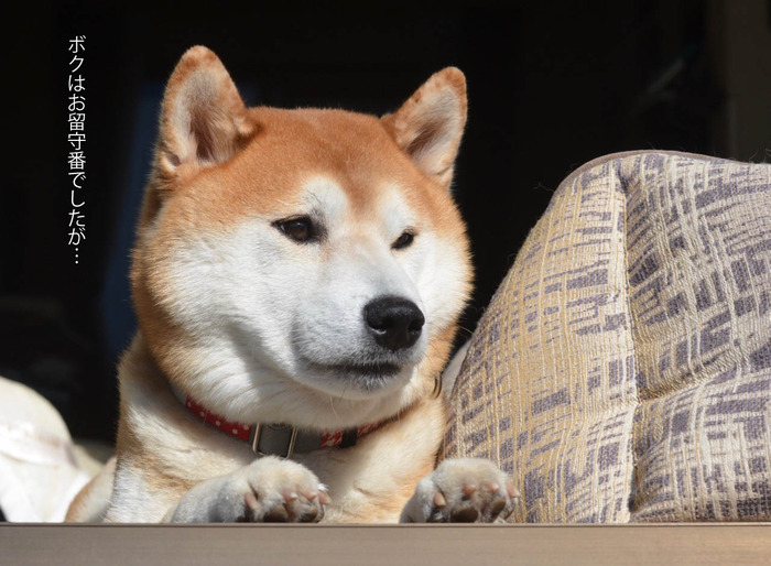 20日ブログ2