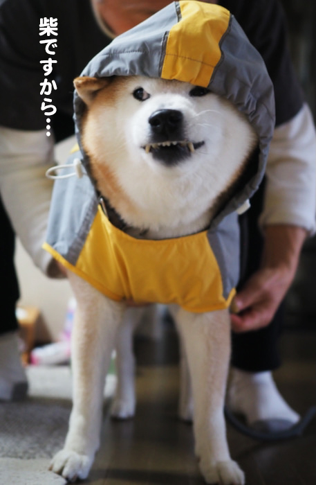 25日ブログ４