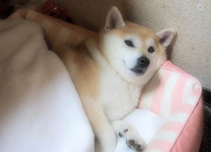 6日夜ブログ７