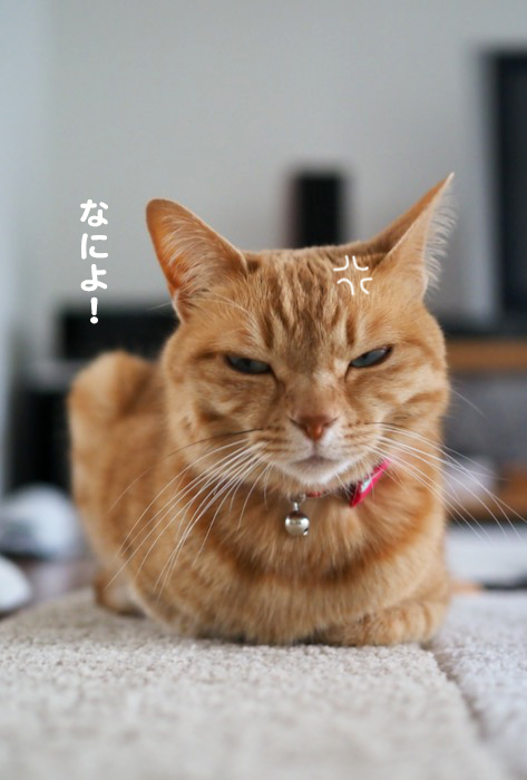 2日ブログ４