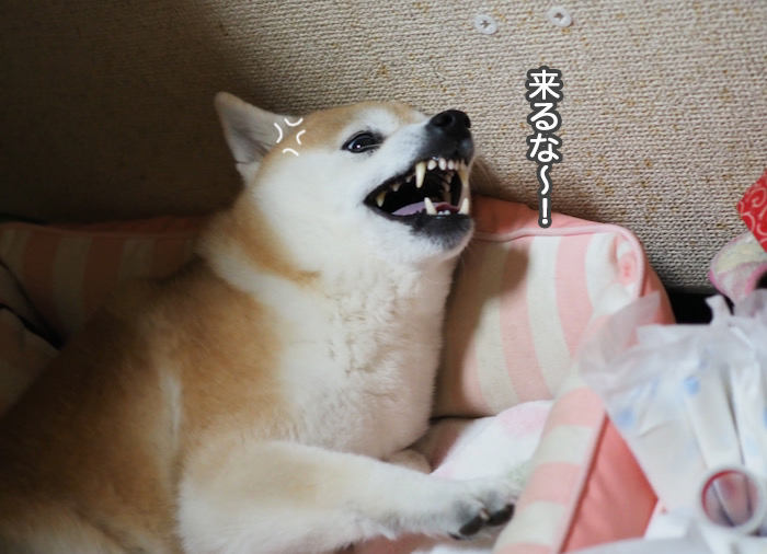 27日ブログ２