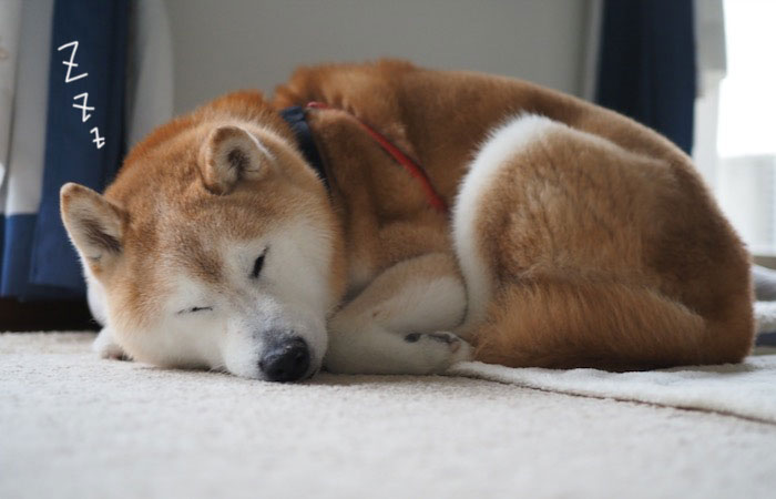10日ブログ２