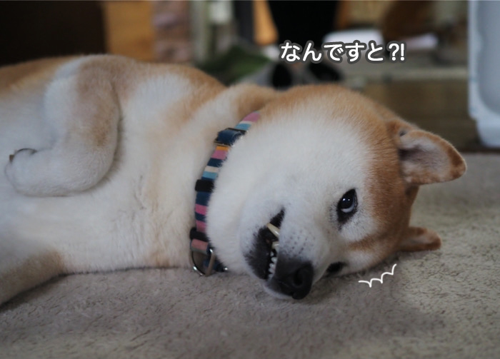 15日ブログ１