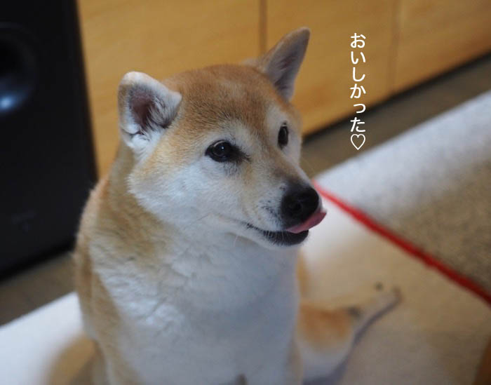 23日夜ブログ１４