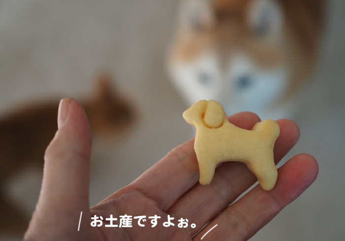 11日夕ブログ２