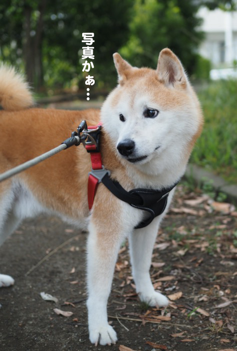 14日夕ブログ３